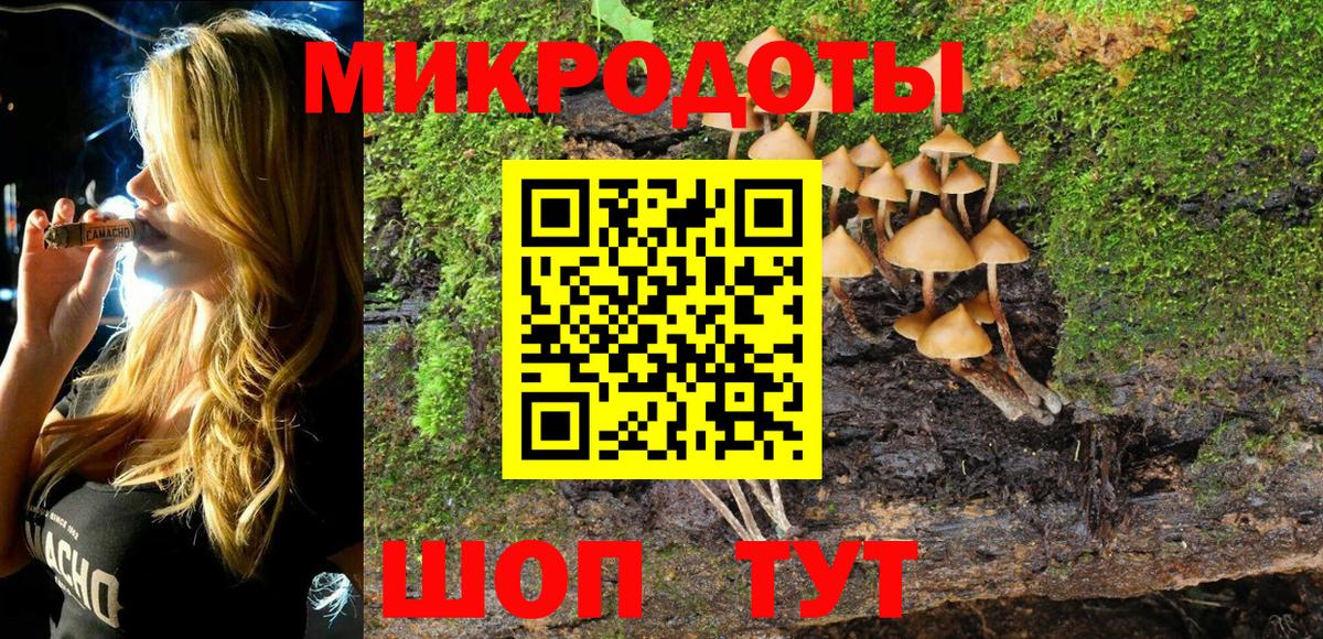 Галлюциногенные грибы Psilocybine cubensis Новоалександровск