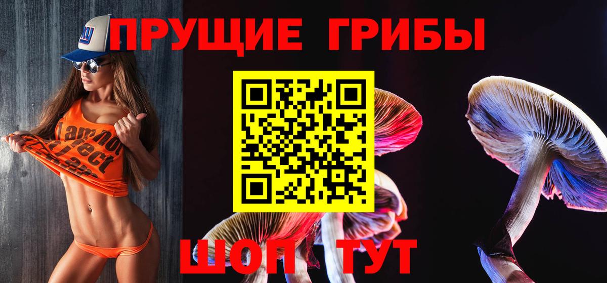 Псилоцибиновые грибы Psilocybine cubensis  Вход с VPN  Псилоцибиновые грибы мицелий  Новоалександровск 